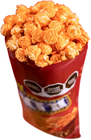 CHIPLOTE READY TO EAT 1